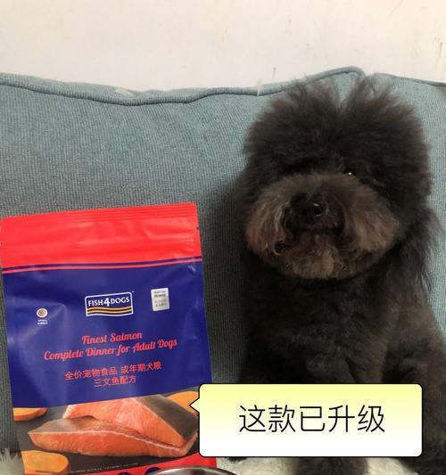 狗狗的脱毛周期及原因（狗狗掉毛周期、掉毛原因与护理方法）