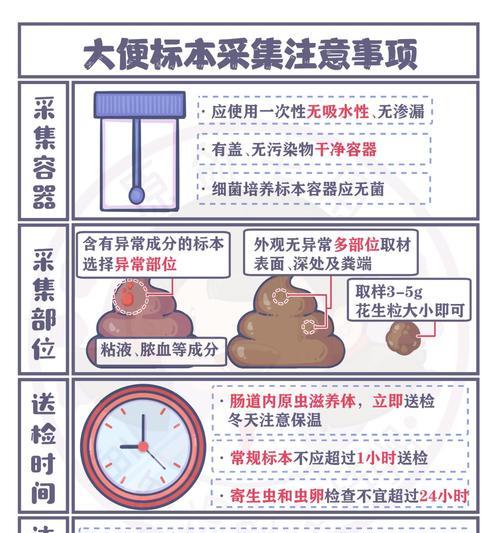 幼狗何时开始自己排便？（探究幼狗生理发育过程中的排便习惯）