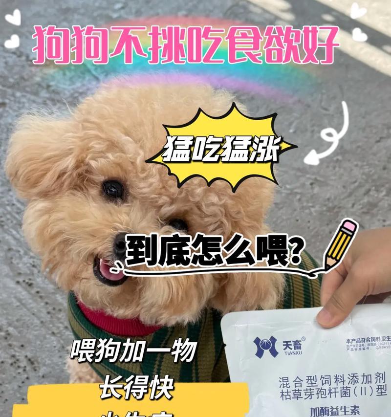 狗狗的日常饮食量到底应该是多少？（找到适合狗狗的饮食量）