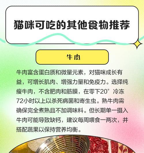 猫粮多样化搭配，宠物猫更健康（让你的猫咪多吃猫粮，避免偏食）