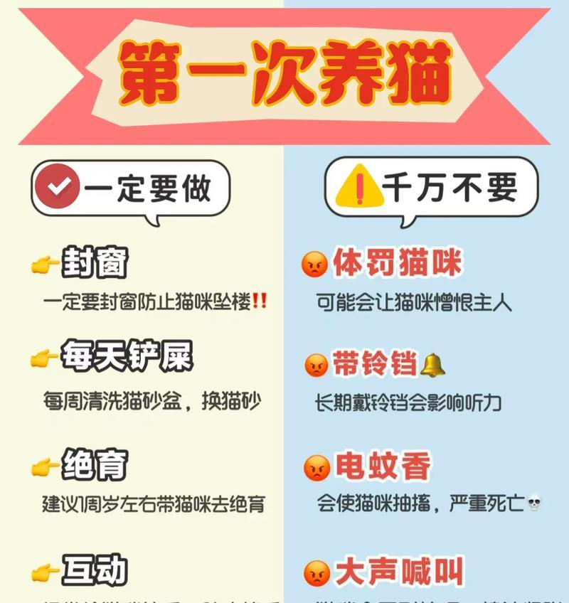 宠物猫的常见疾病与防治（保护你的猫咪免受9种常见疾病的侵害）