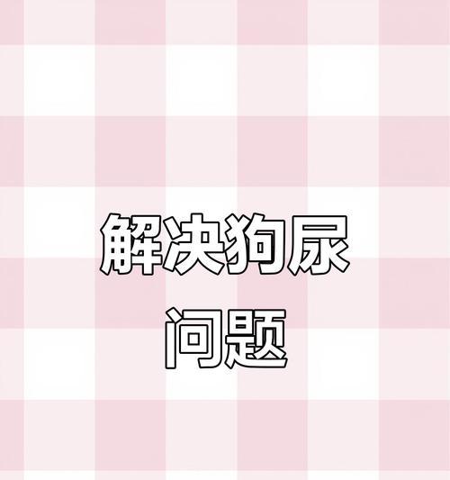 狗狗乱拉搞得一屋子都是狗尿味？4步清理跟狗尿味说再见（解决狗狗拉尿臭味的有效方法）