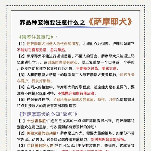 萨摩耶毛发洁白的小秘诀（萨摩耶毛发保养的注意事项及技巧）