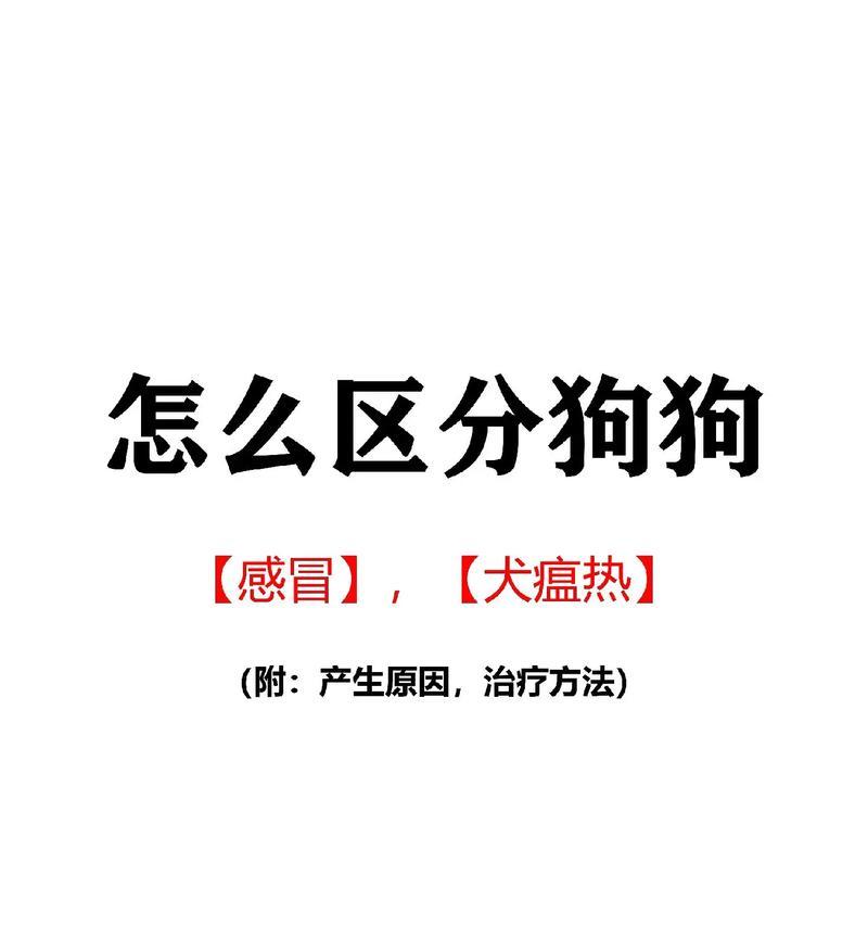 狗狗犬瘟热死了多久能再养狗？（探讨狗狗犬瘟热致死后再养狗的时间间隔）