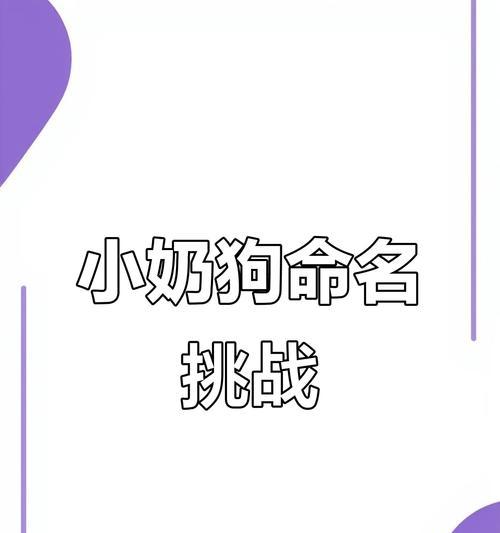 捡到刚出生的小奶狗，如何妥善照顾（从无助到健康成长，探索幼犬抚养的秘诀）