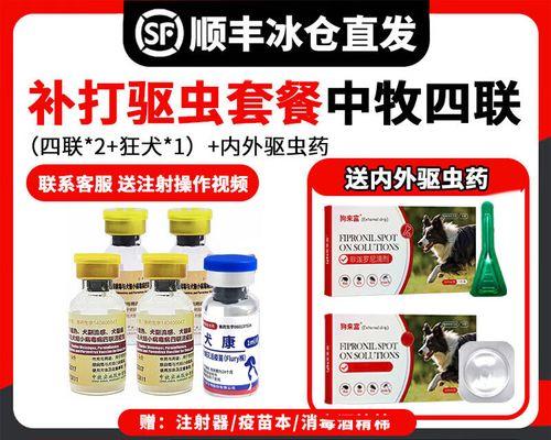小狗打虫与疫苗接种的合理时间安排（养宠必备知识｜打虫与疫苗接种时间表一览）