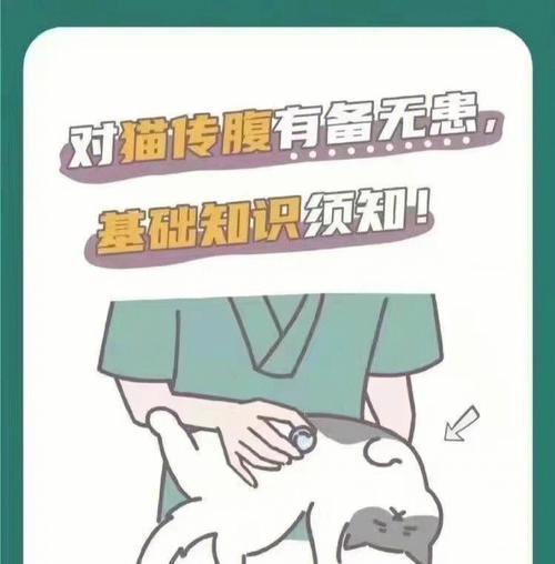 猫类眼科疾病全面了解（家庭备眼科用品指南）