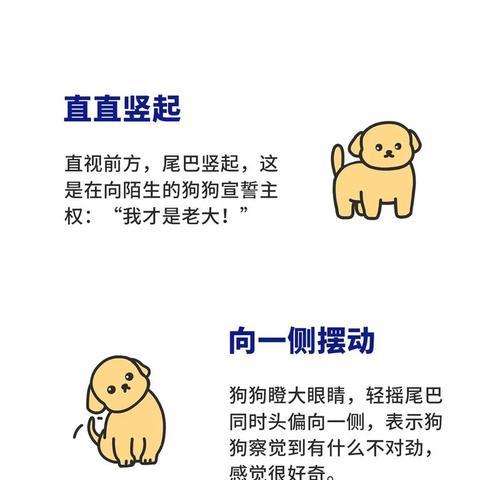狗是人类最忠诚的伙伴（探索狗的多重作用及其益处）