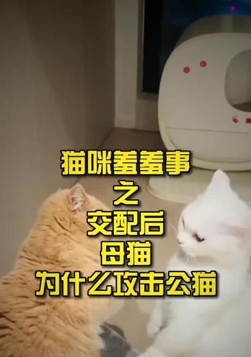 小猫的成形时间及其关键因素研究（探究母猫交配后小猫成形所需的时间及影响因素）