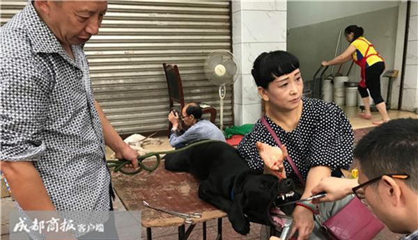 狗割声带后的恢复期（狗割声带后多久可以恢复正常？注意事项让你的狗宠更快康复）