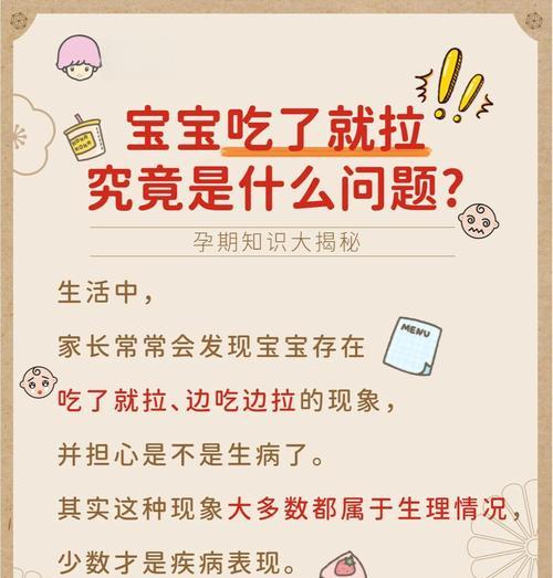 食物多久排便？揭秘你的消化系统速度（探究食物在身体内的停留时间与排便频率，了解消化系统的工作原理）