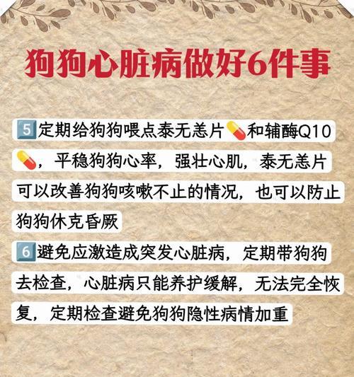 狗狗感冒输液费用及预防方法（了解狗狗感冒输液费用，有效预防感冒的关键）