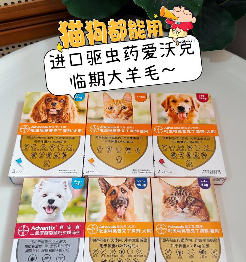 狗狗抱回家后多久驱虫合适？（宠物犬驱虫时间的重要性及相关注意事项）
