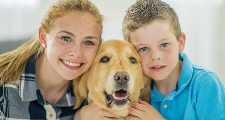 幼犬何时离开兄弟姐妹合适？（幼犬离开兄弟姐妹的最佳时机与注意事项）