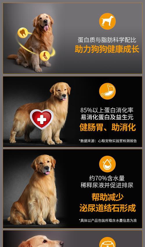 狗狗饮食问题解析——瘦弱与肥胖的合适粮食选择（了解狗狗的饮食需求，科学选择适合的粮食）