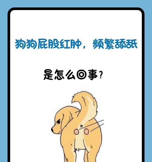狗狗腔门腺挤压频率与注意事项（为了狗狗的健康，掌握适当的腔门腺挤压技巧）