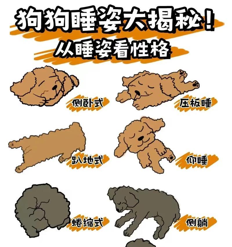 安静与吵闹（探寻宠物狗的声音规律和个性倾向）