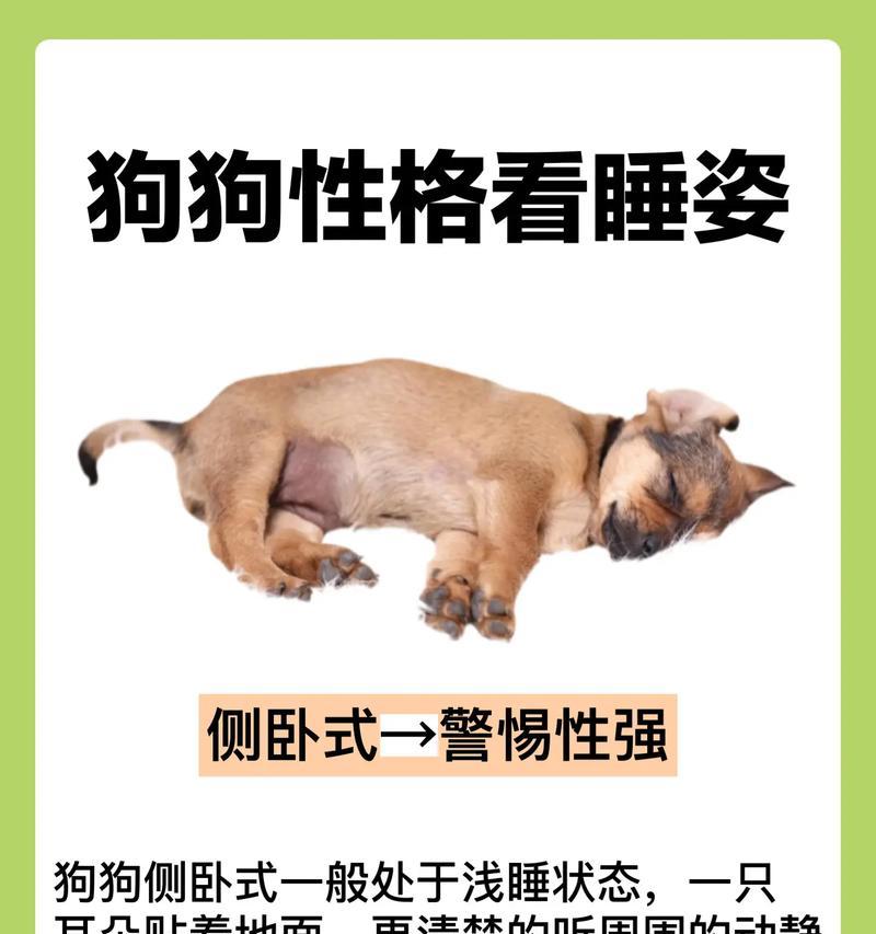揭秘狗狗的天生习性（探索狗狗性格背后的秘密）