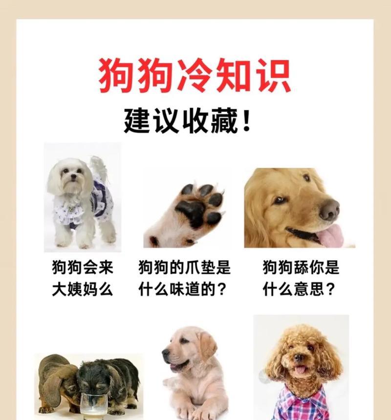 狗狗拉稀腹泻的常见疾病及中医治疗方法（拉稀腹泻是狗狗常见的健康问题，中医可提供有效治疗方法）