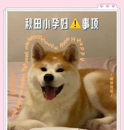秋田犬寿命的长久之道（探索秋田犬寿命的秘密及关键因素）