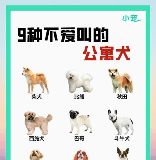 养这几种狗太费钱了，劝你别养（狗的种类决定了负担的大小，谨慎选择你的伴侣动物）