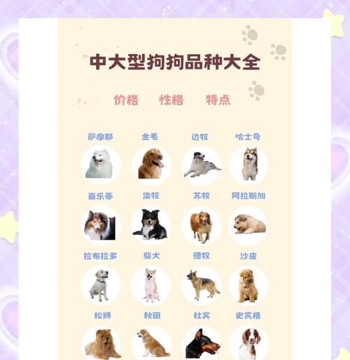 柴犬买回来多久洗澡合适？（柴犬洗澡的最佳时机及注意事项）
