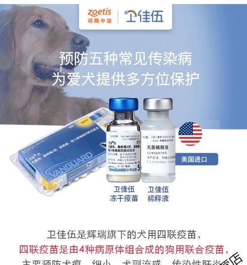 卫佳疫苗接种间隔的重要性与建议（科学规划疫苗接种间隔，保障免疫效果）