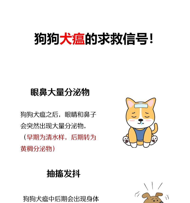 狗狗犬瘟热早期症状（了解狗狗犬瘟热早期症状，及时保护你的宠物健康）