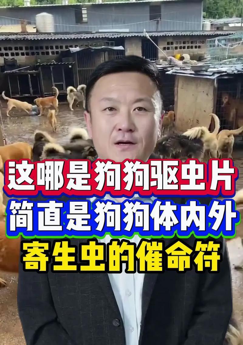 狗狗出生后多久需要进行驱虫？（养狗新手必读，了解狗狗驱虫的重要性！）