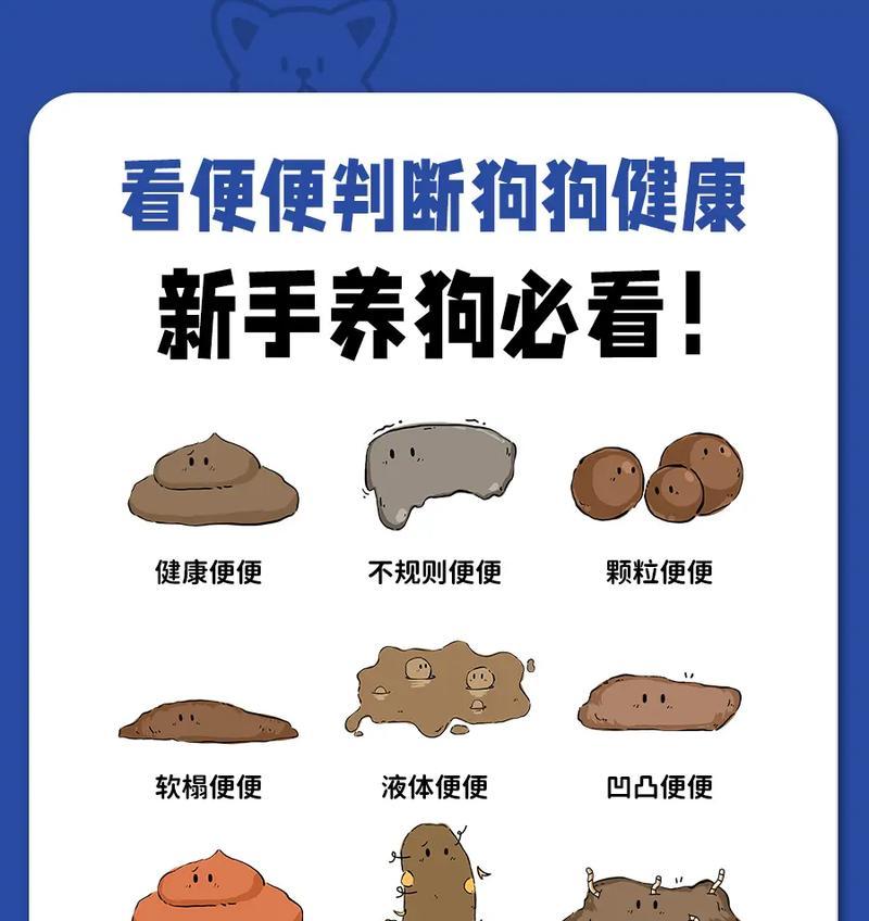 探究狗狗大便颜色与身体健康的关系（揭开狗狗大便色彩的秘密，了解身体状况）