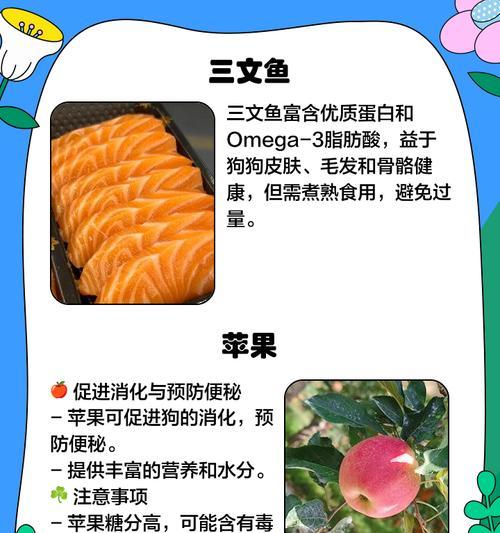 宠物泰迪犬的禁食列表（小心！这些食物对泰迪狗有害）