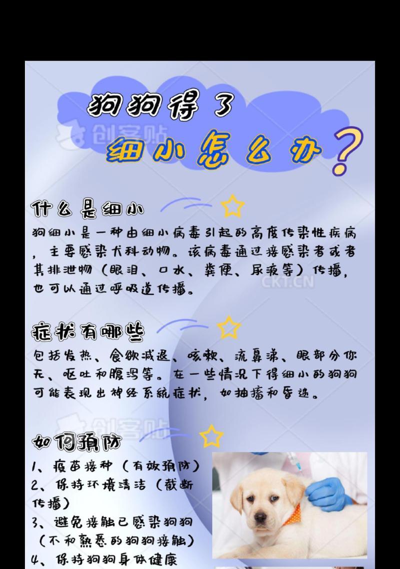 如何应对幼犬感冒（幼犬感冒症状及处理方法）