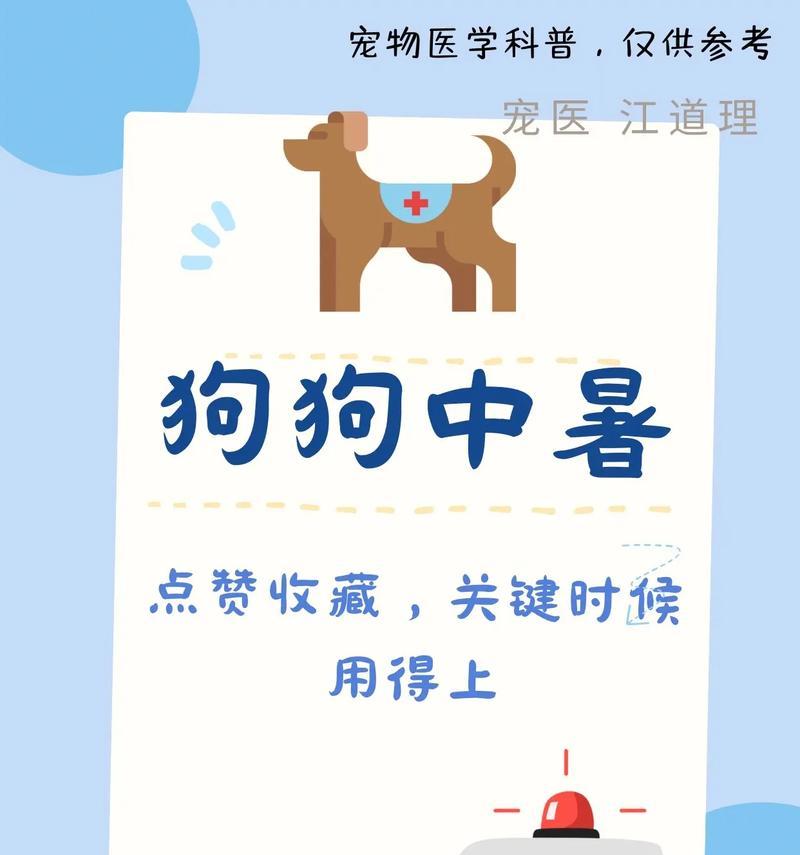 狗狗中暑降温需要多久？（了解中暑危害，有效降温是关键）