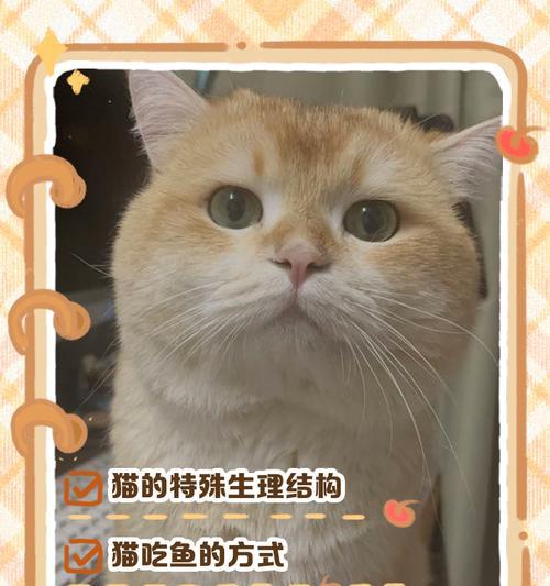 揭秘世界上最神秘的五种不爱吃鱼的猫（探索猫界的鱼肉“异类”，这五种猫为何对鱼情有独钟？）