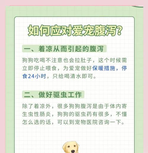 狗狗肚子为什么突然胀起来？（探究狗狗腹水的成因和症状）