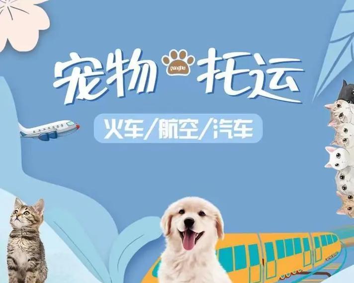 宠物快递运输及注意事项（保障宠物安全的运输方式及注意事项）