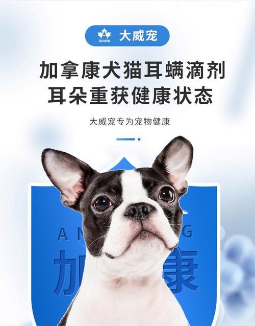 宠物滴耳油使用频率及注意事项（宠物滴耳油的正确使用方法和使用频率）