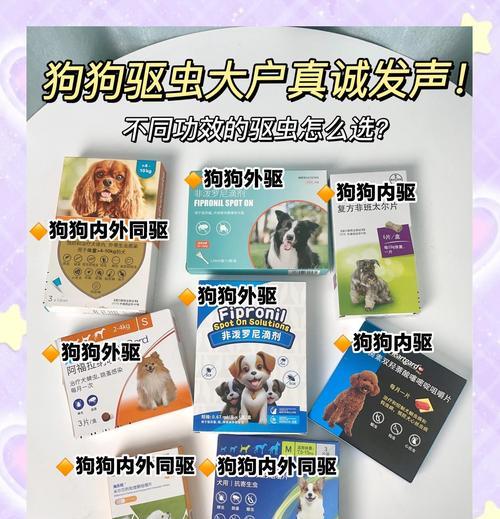 狗狗的驱虫时间表（了解狗狗驱虫的最佳时机和方法，做好宠物健康保障）