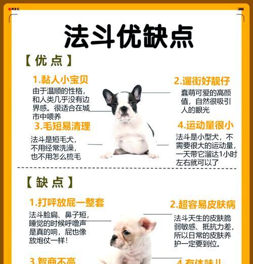 法国斗牛犬价格揭秘（探究法国斗牛犬价格的七大关键因素及市场趋势）
