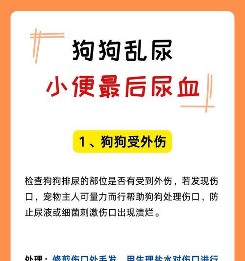 如何选择合适的狗厕所和狗尿垫让狗狗不再乱拉（有效解决狗狗乱拉问题的关键步骤和技巧）