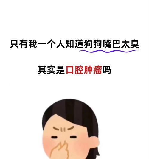 揭秘狗嘴的臭味之谜！（探寻臭味背后的4个原因，小心你的狗嘴巴！）