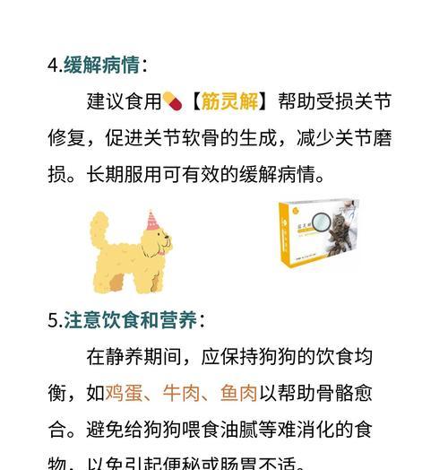 狗骨折后的康复（了解狗骨折康复的关键时间和注意事项）
