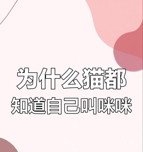 猫咪学鸟叫的神秘原因揭秘（猫咪背后的“阴谋”是什么？）