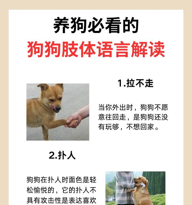 如何纠正狗子乱叫和乱扑人的行为（有效解决狗子不听话、爱叫和乱扑人的问题）