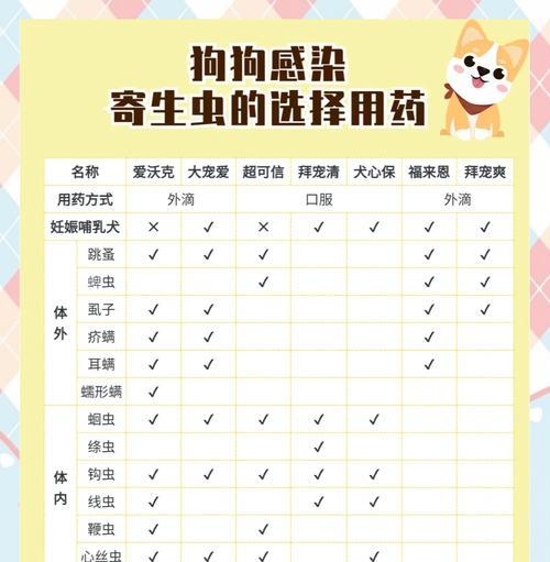 狗狗驱虫周期及拉完时间的重要性（了解狗狗驱虫周期，健康护航）