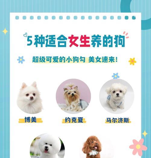 大型犬比小型犬更省钱的原因揭秘（养大型犬不再是财务负担，让你省钱又省心）