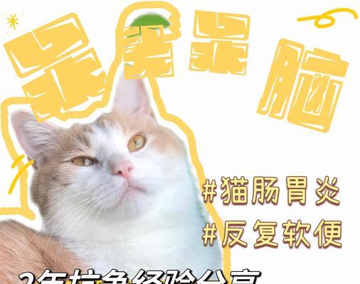 猫肠胃炎禁食多久才能康复？（探究猫肠胃炎禁食时间及注意事项）