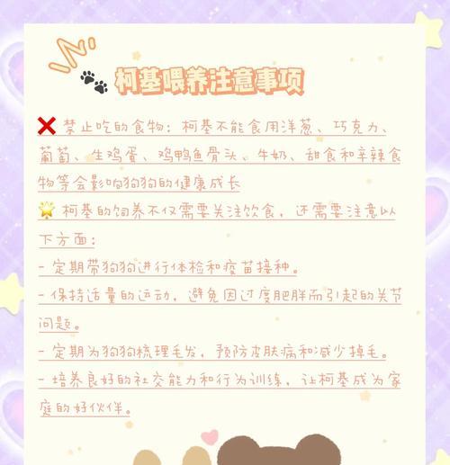 柯基狗粮喂食指南（根据狗狗食量制定最佳喂食量）