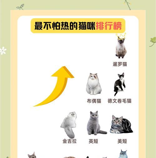 猫咪行为大揭秘（探究猫咪舔人行为的原因及意义）