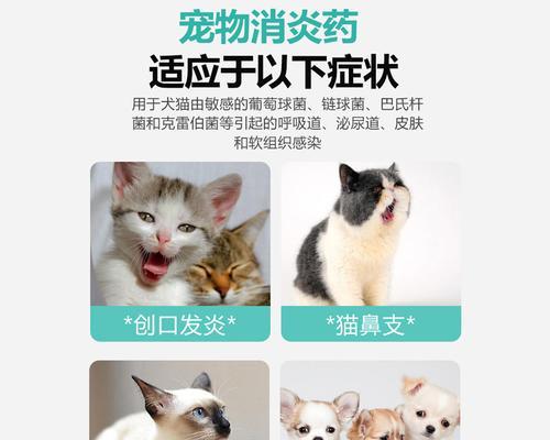 狗狗能吃的消炎药有哪些？（了解狗狗消炎药的种类和使用方法）